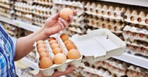 egg supply business