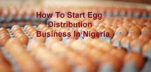 egg distribution business in Nigeria