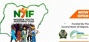 Nigerian Youth Investment Fund (NYIF)